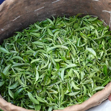 1000g Spirit Tea: Ambrosia - Image 3